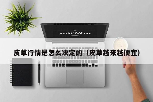 皮草行情是怎么决定的(皮草越来越便宜)