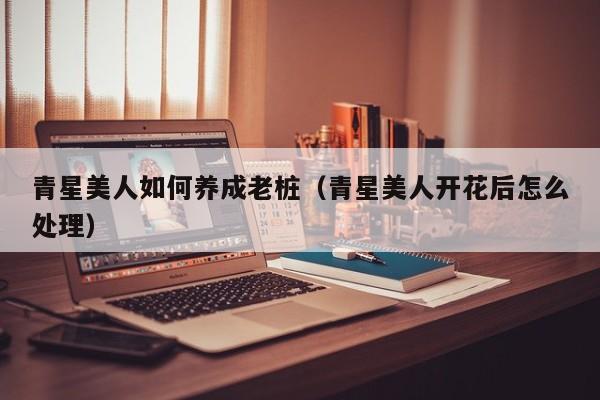 青星美人如何养成老桩(青星美人开花后怎么处理)
