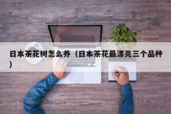 日本茶花树怎么养(日本茶花最漂亮三个品种)