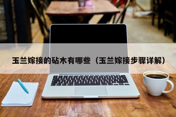 玉兰嫁接的砧木有哪些(玉兰嫁接步骤详解)