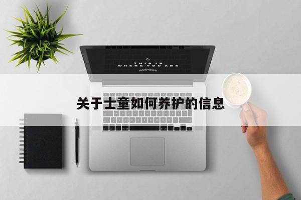 关于士童如何养护的信息