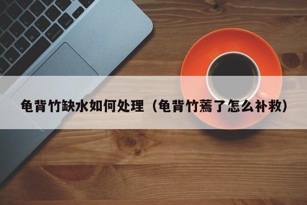 龟背竹缺水如何处理(龟背竹蔫了怎么补救)