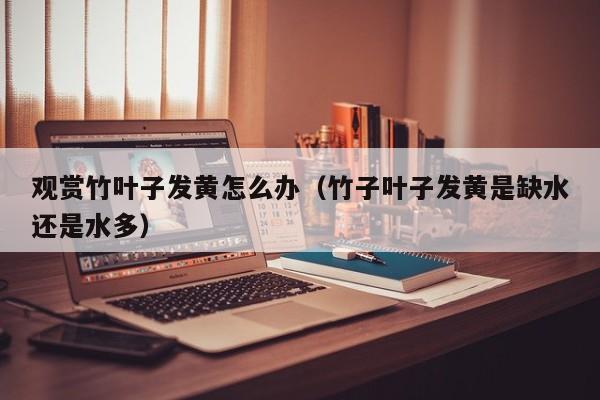 观赏竹叶子发黄怎么办(竹子叶子发黄是缺水还是水多)