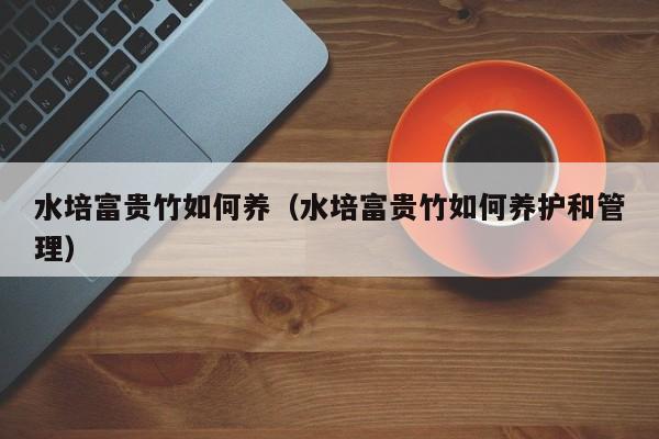水培富贵竹如何养(水培富贵竹如何养护和管理)