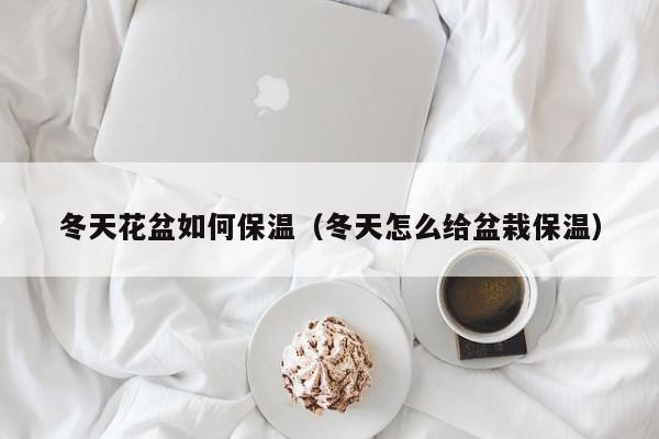 冬天花盆如何保温(冬天怎么给盆栽保温)