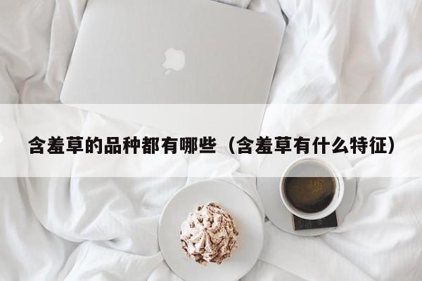含羞草的品种都有哪些(含羞草有什么特征)