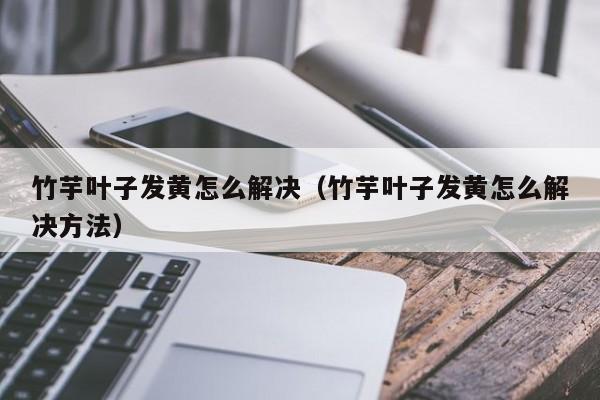 竹芋叶子发黄怎么解决(竹芋叶子发黄怎么解决方法)