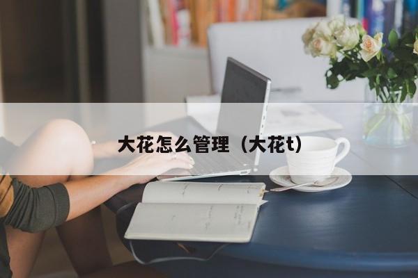 大花怎么管理(大花t)