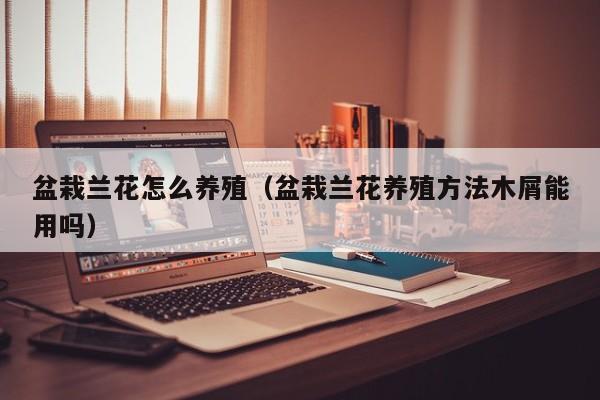 盆栽兰花怎么养殖(盆栽兰花养殖方法木屑能用吗)