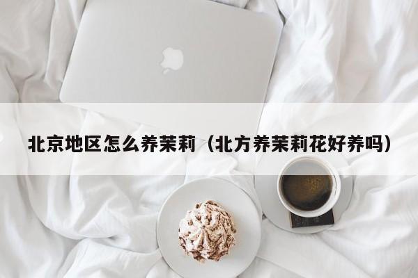 北京地区怎么养茉莉(北方养茉莉花好养吗)