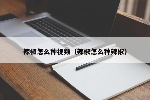 辣椒怎么种视频(辣椒怎么种辣椒)