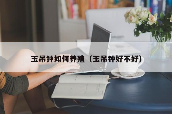 玉吊钟如何养殖(玉吊钟好不好)