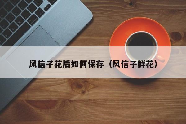 风信子花后如何保存(风信子鲜花)