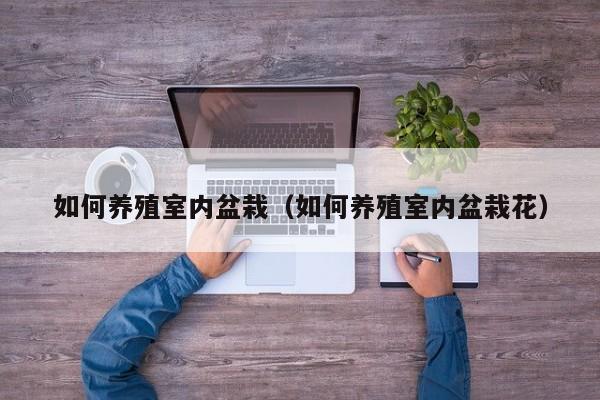 如何养殖室内盆栽(如何养殖室内盆栽花)