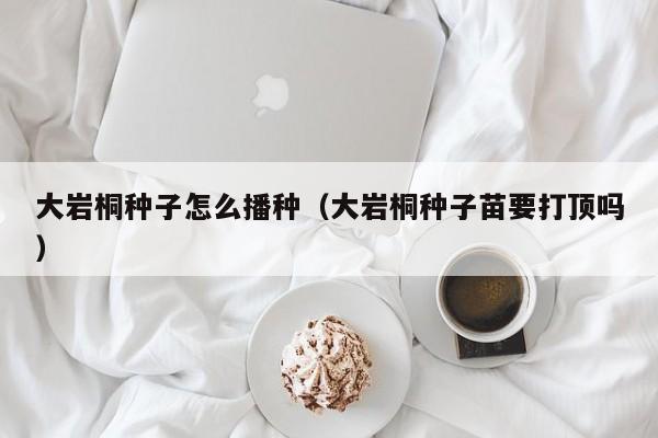 大岩桐种子怎么播种(大岩桐种子苗要打顶吗)