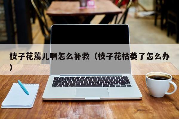 枝子花蔫儿啊怎么补救(枝子花枯萎了怎么办)