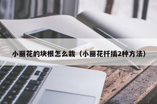 小丽花的块根怎么栽(小丽花扦插2种方法)