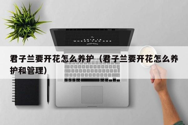 君子兰要开花怎么养护(君子兰要开花怎么养护和管理)