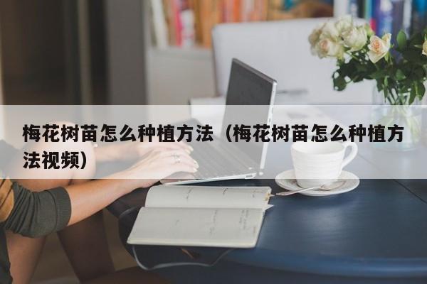梅花树苗怎么种植方法(梅花树苗怎么种植方法视频)