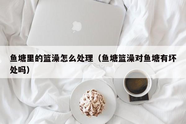 鱼塘里的篮澡怎么处理(鱼塘篮澡对鱼塘有坏处吗)