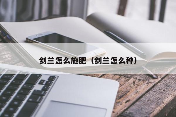 剑兰怎么施肥(剑兰怎么种)