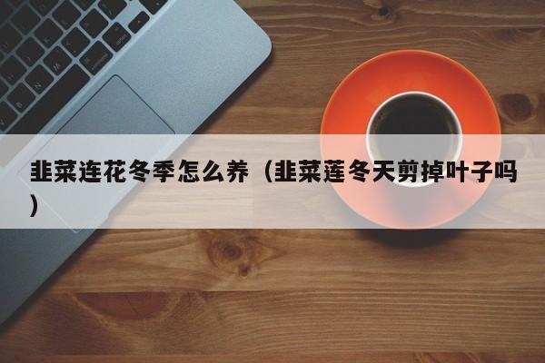 韭菜连花冬季怎么养(韭菜莲冬天剪掉叶子吗)
