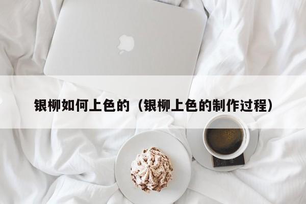 银柳如何上色的(银柳上色的制作过程)