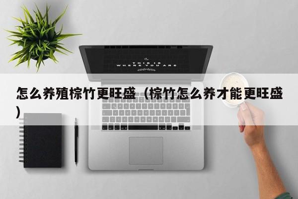 怎么养殖棕竹更旺盛(棕竹怎么养才能更旺盛)