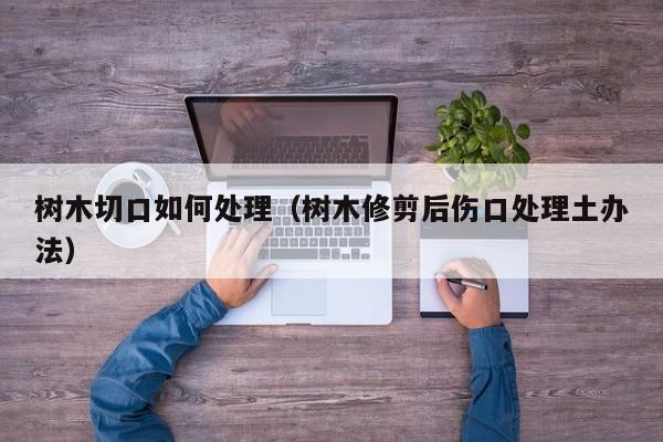 树木切口如何处理(树木修剪后伤口处理土办法)