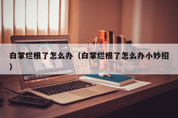 白掌烂根了怎么办(白掌烂根了怎么办小妙招)