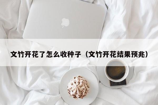 文竹开花了怎么收种子(文竹开花结果预兆)