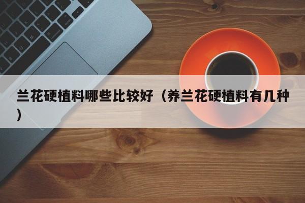 兰花硬植料哪些比较好(养兰花硬植料有几种)