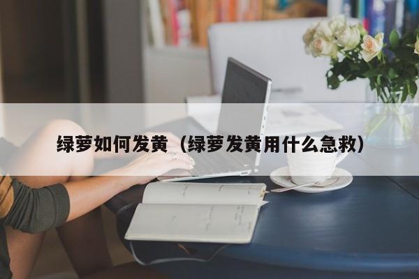 绿萝如何发黄(绿萝发黄用什么急救)