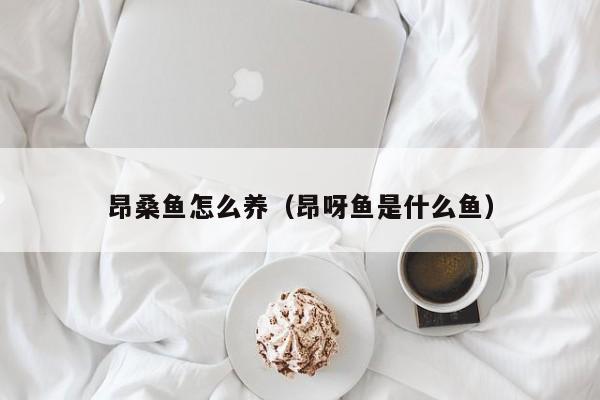 昂桑鱼怎么养(昂呀鱼是什么鱼)