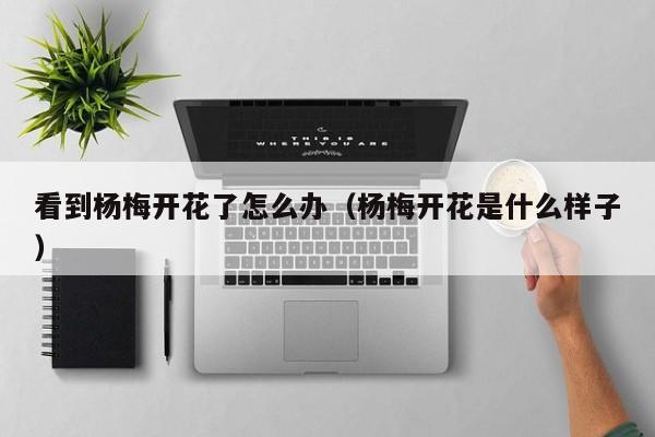看到杨梅开花了怎么办(杨梅开花是什么样子)