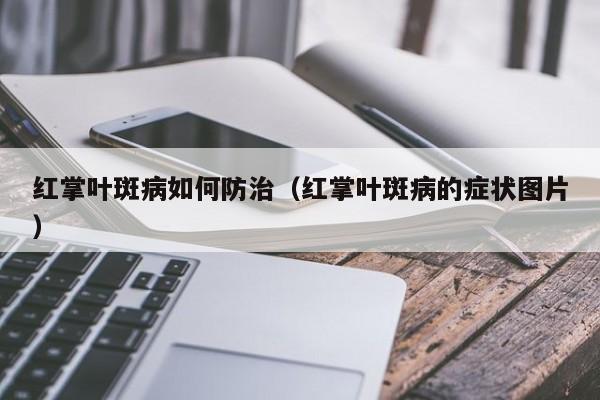 红掌叶斑病如何防治(红掌叶斑病的症状图片)