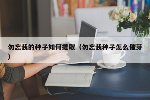 勿忘我的种子如何提取(勿忘我种子怎么催芽)
