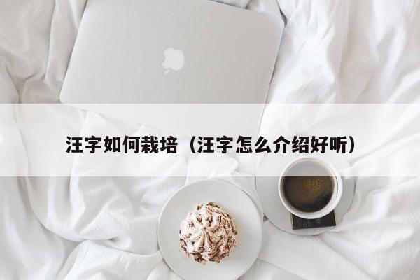 汪字如何栽培(汪字怎么介绍好听)