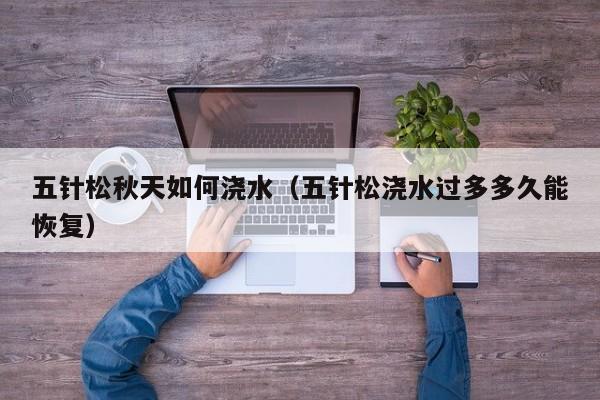 五针松秋天如何浇水(五针松浇水过多多久能恢复)