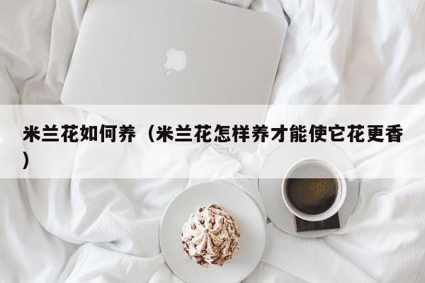 米兰花如何养(米兰花怎样养才能使它花更香)