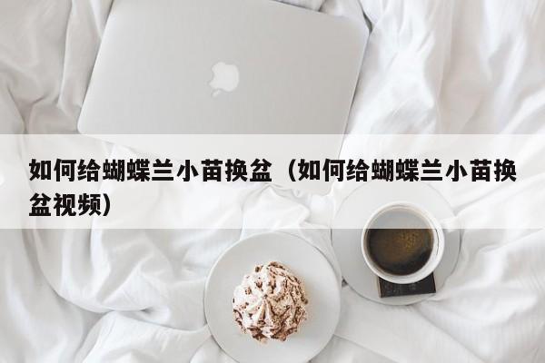 如何给蝴蝶兰小苗换盆(如何给蝴蝶兰小苗换盆视频)