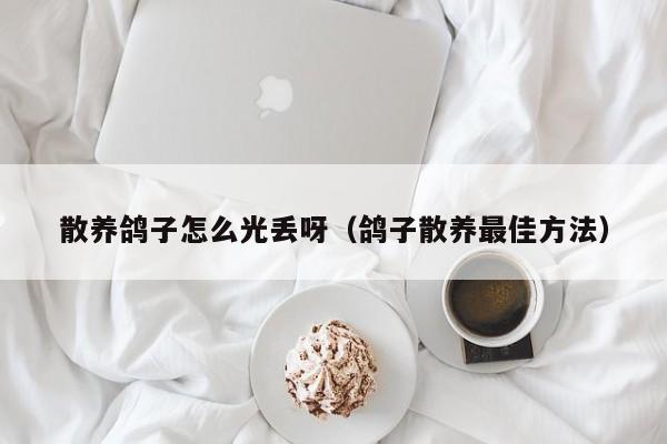 散养鸽子怎么光丢呀(鸽子散养最佳方法)