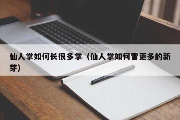仙人掌如何长很多掌(仙人掌如何冒更多的新芽)