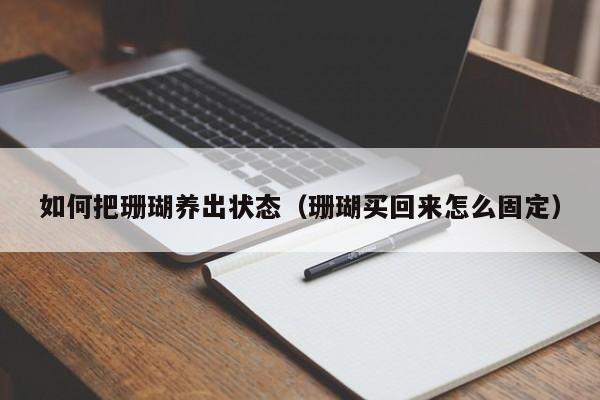 如何把珊瑚养出状态(珊瑚买回来怎么固定)