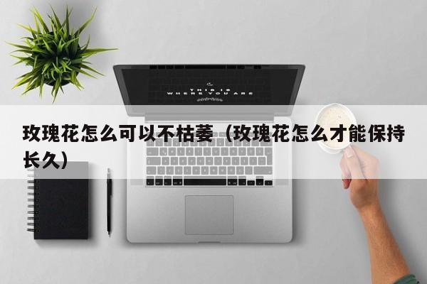 玫瑰花怎么可以不枯萎(玫瑰花怎么才能保持长久)