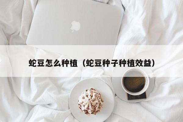 蛇豆怎么种植(蛇豆种子种植效益)