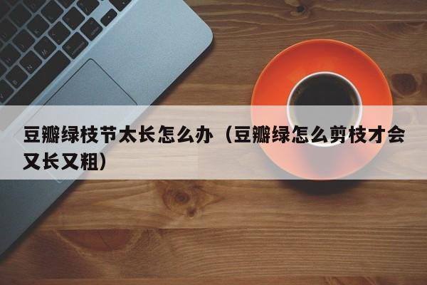 豆瓣绿枝节太长怎么办(豆瓣绿怎么剪枝才会又长又粗)