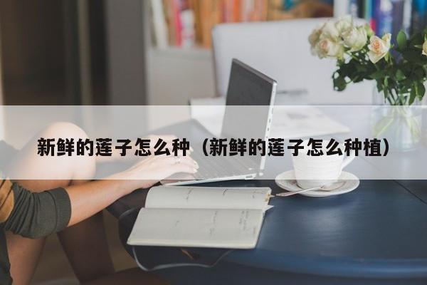 新鲜的莲子怎么种(新鲜的莲子怎么种植)