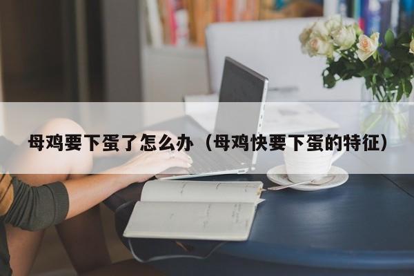 母鸡要下蛋了怎么办(母鸡快要下蛋的特征)