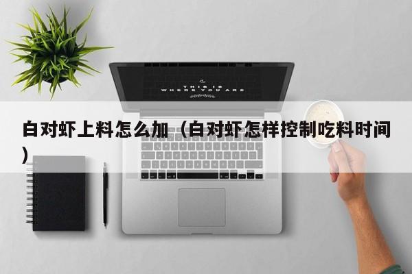 白对虾上料怎么加(白对虾怎样控制吃料时间)
